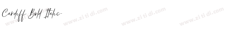 Cardiff Bold Italic字体转换